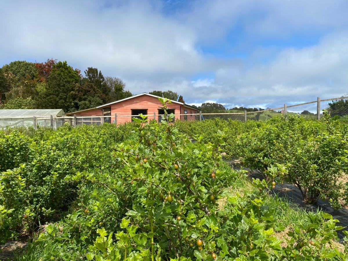 Cabaña Nueva en Ancud Chiloe Villa Exterior foto