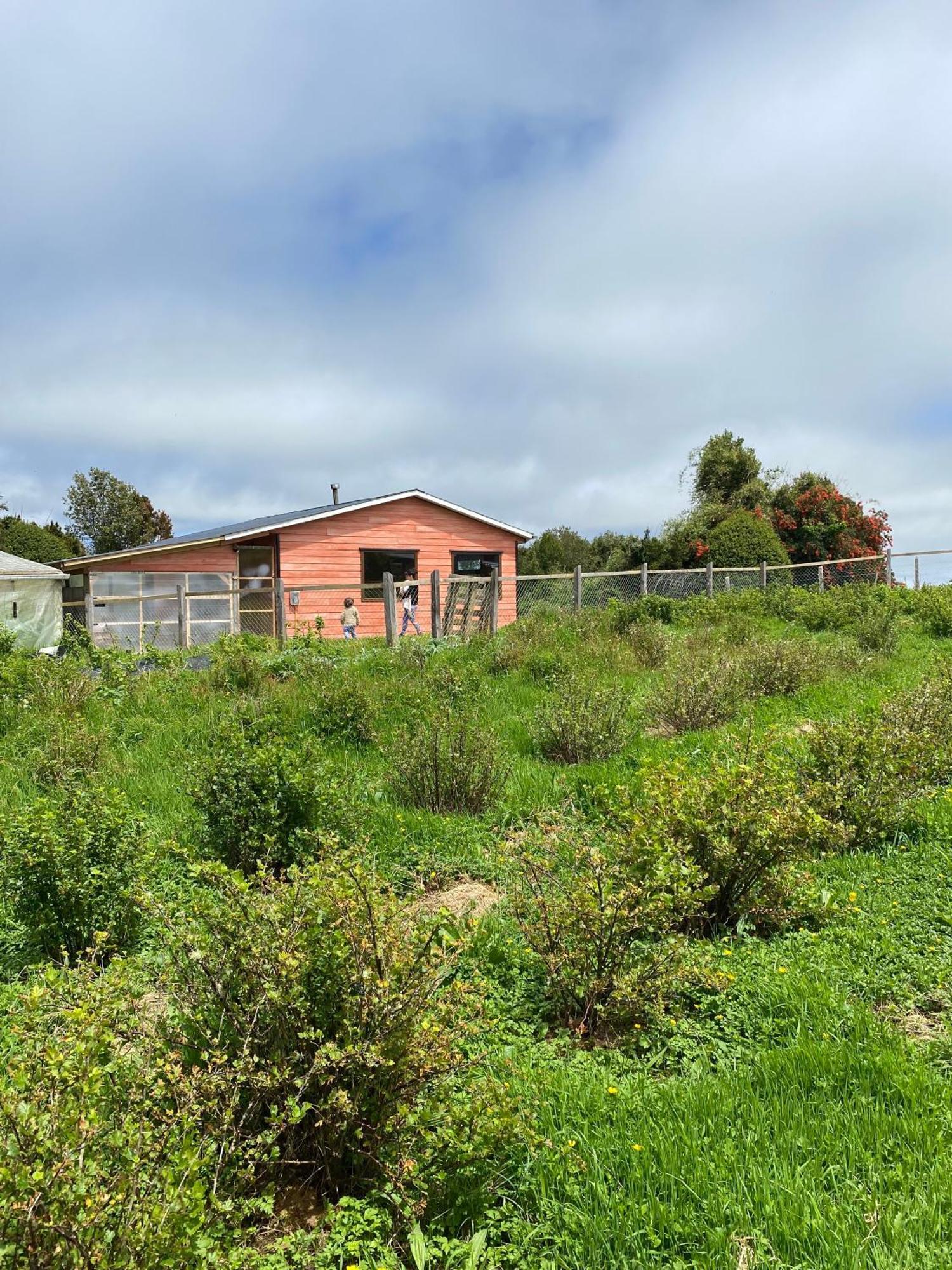 Cabaña Nueva en Ancud Chiloe Villa Habitación foto