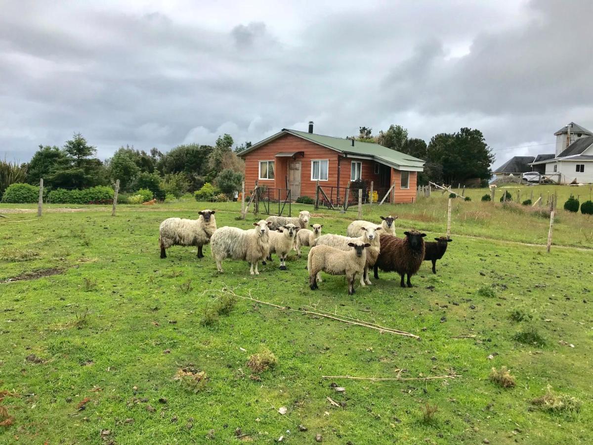 Cabaña Nueva en Ancud Chiloe Villa Exterior foto